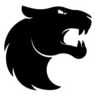 FURIA eSports