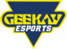 Geekay Esports